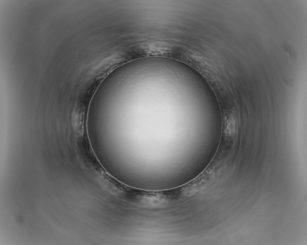 X0000113130666200909041148