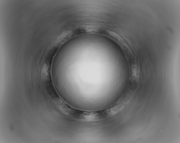 X0000113130667200909041148