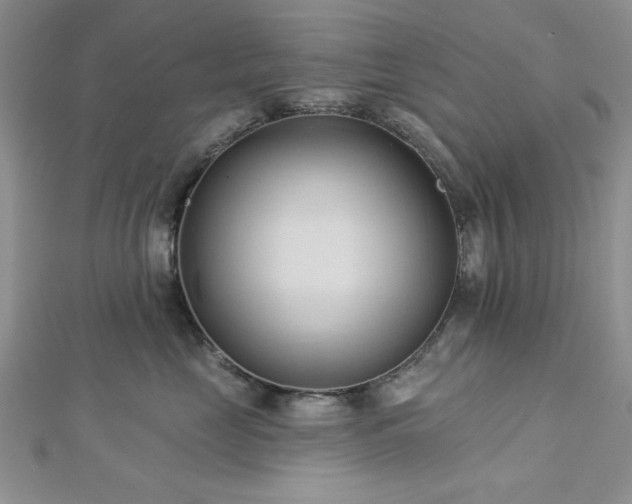 X0000113130669200909041148