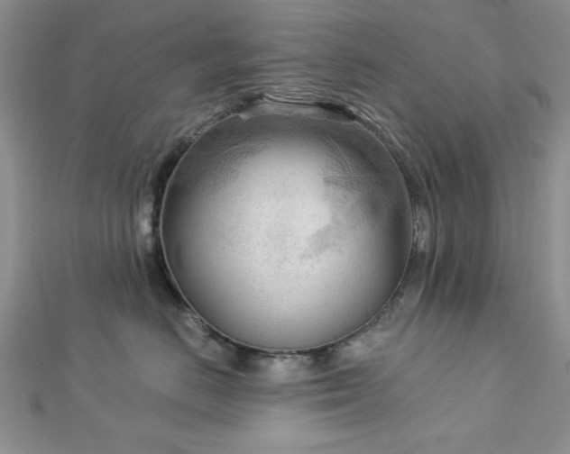 X0000113130670200909041148