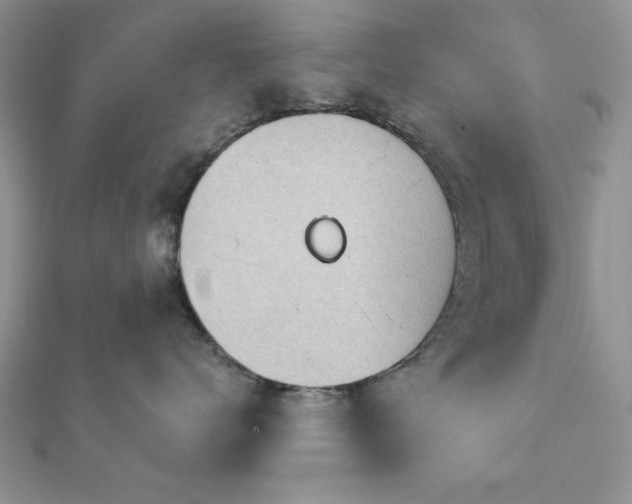 X0000113130672200909041148