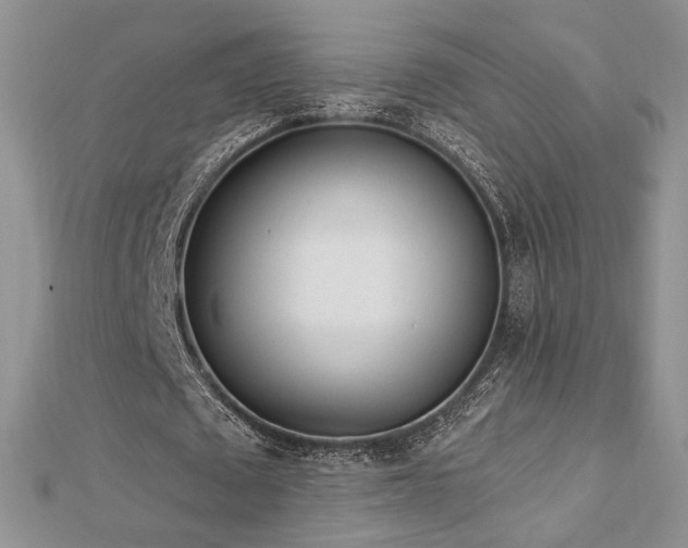 X0000113130673200909041148