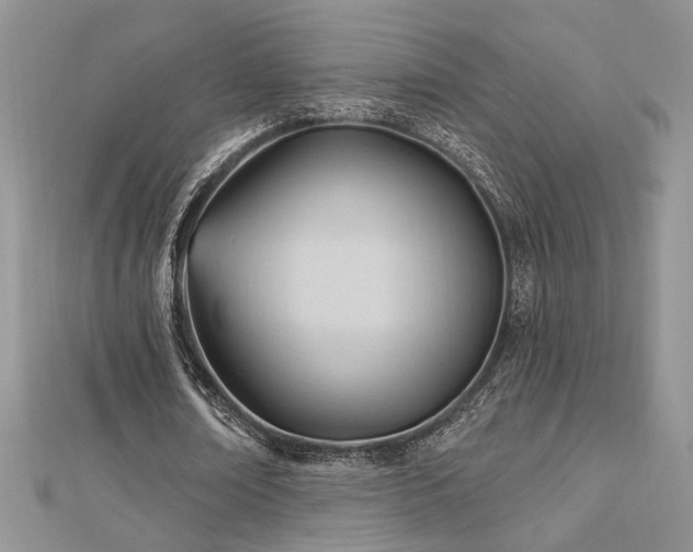 X0000113130674200909041148