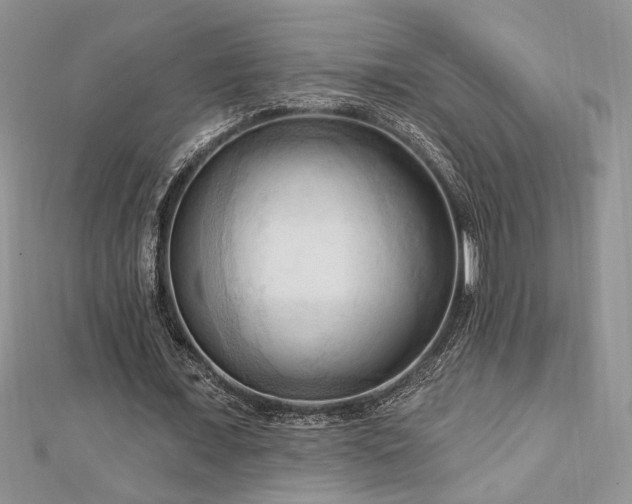 X0000113130675200909041148
