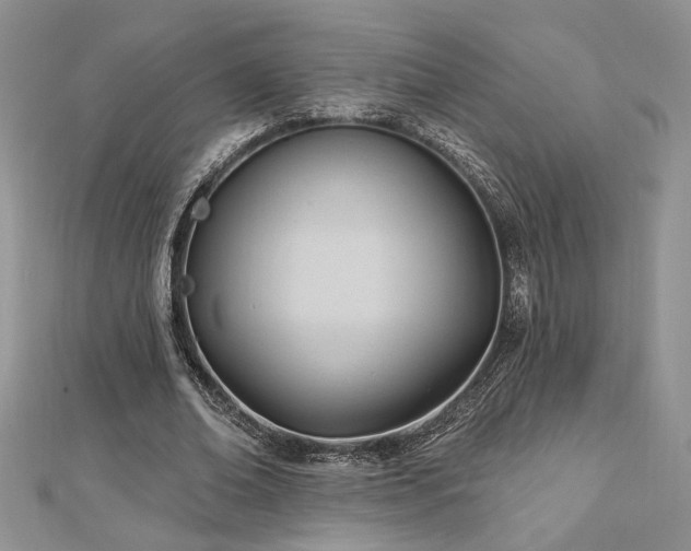 X0000113130678200909041148
