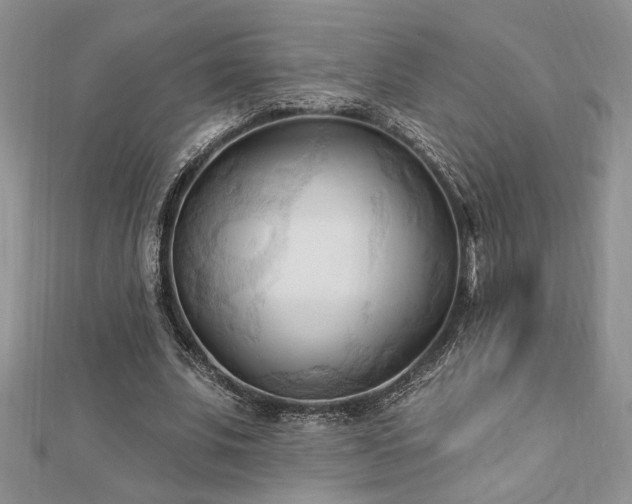 X0000113130679200909041148