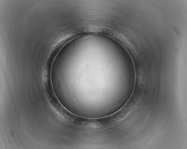 X0000113130683200909041147