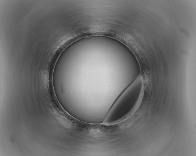 X0000113130684200909041147