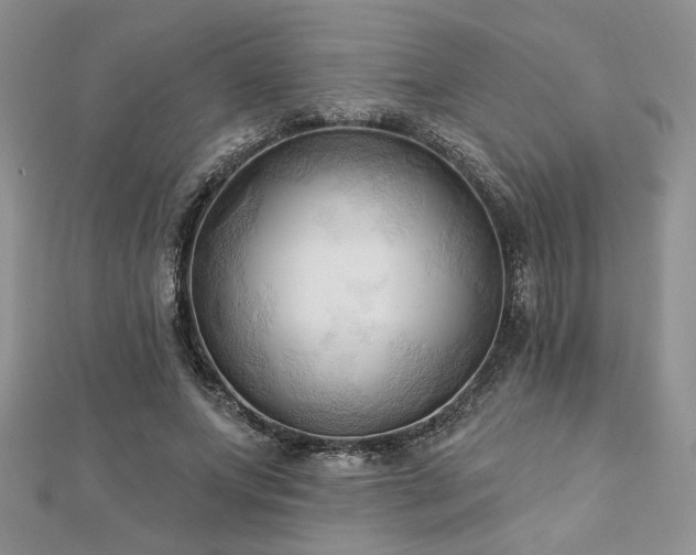 X0000113130687200909041147