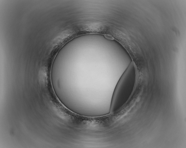 X0000113130688200909041147
