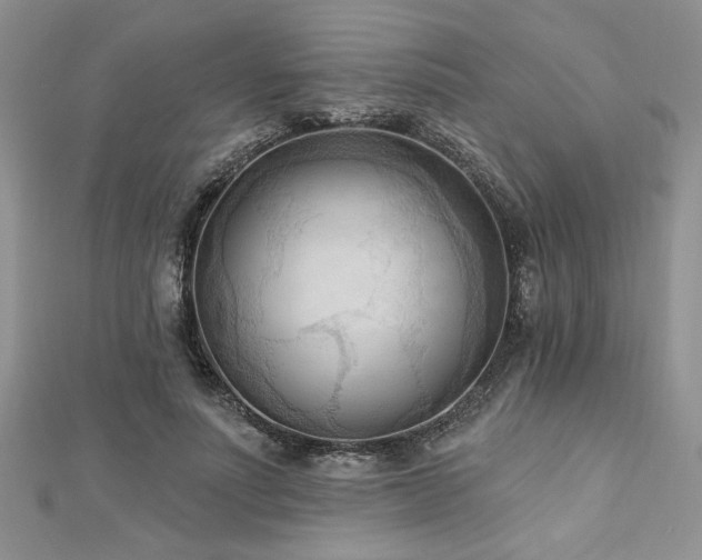 X0000113130691200909041147