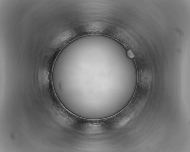X0000113130692200909041147