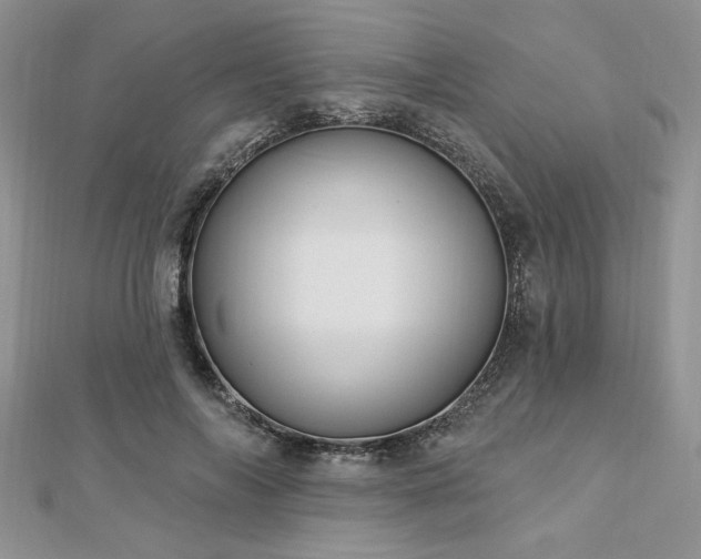 X0000113130694200909041147