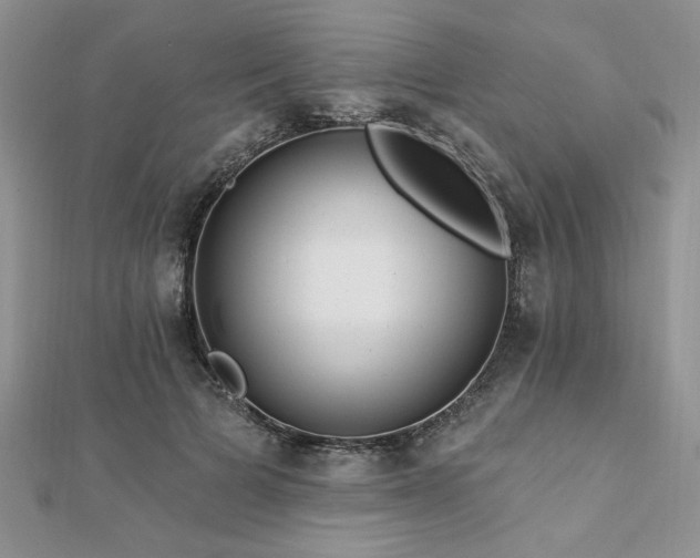 X0000113130697200909041147