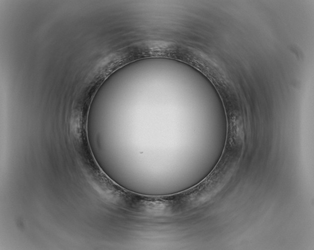 X0000113130698200909041147