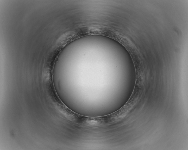 X0000113130706200909041147