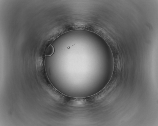 X0000113130711200909041147