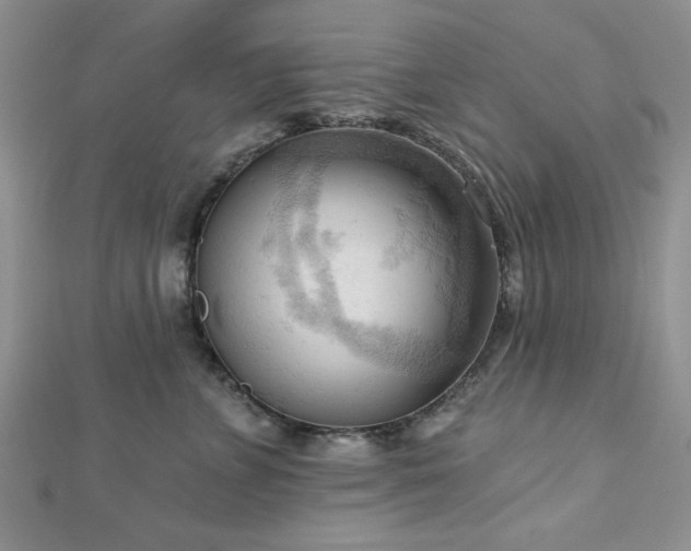 X0000113130715200909041147