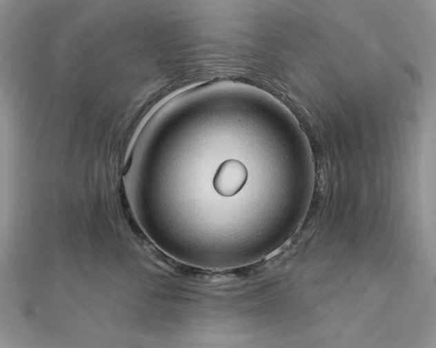 X0000113130716200909041147