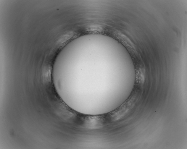 X0000113130717200909041147