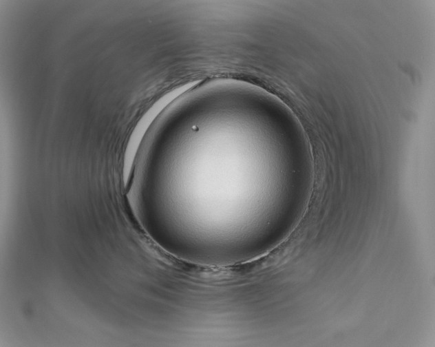 X0000113130720200909041147