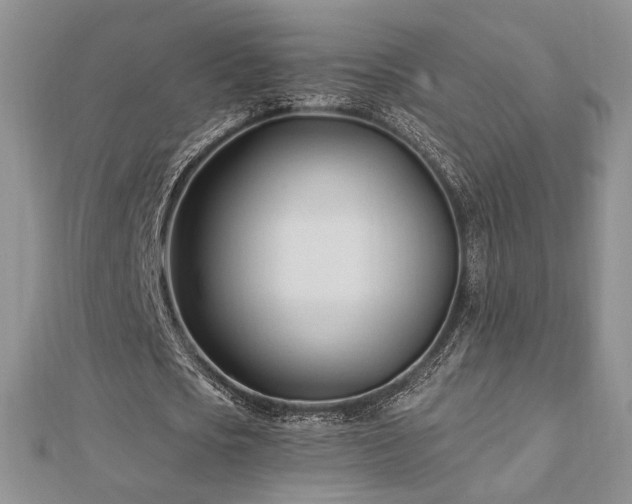 X0000113130721200909041146
