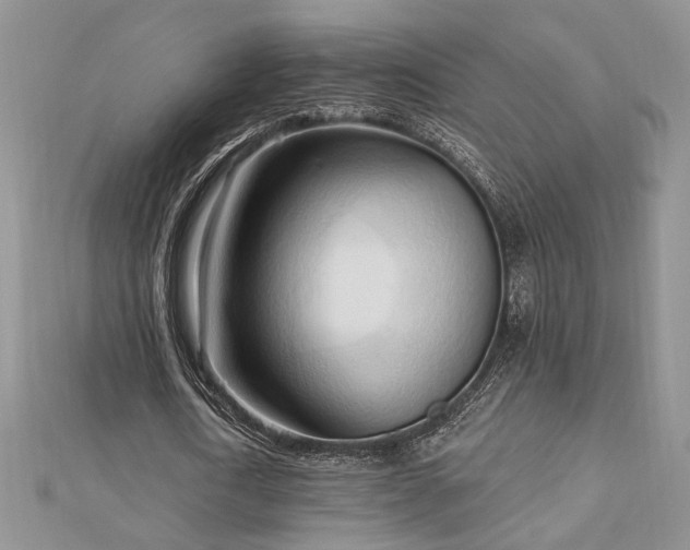 X0000113130722200909041146