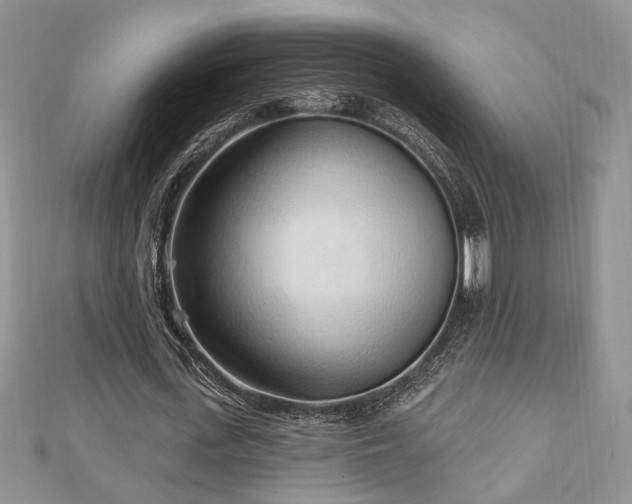 X0000113130723200909041146