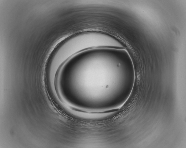 X0000113130724200909041146
