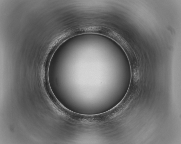 X0000113130725200909041146