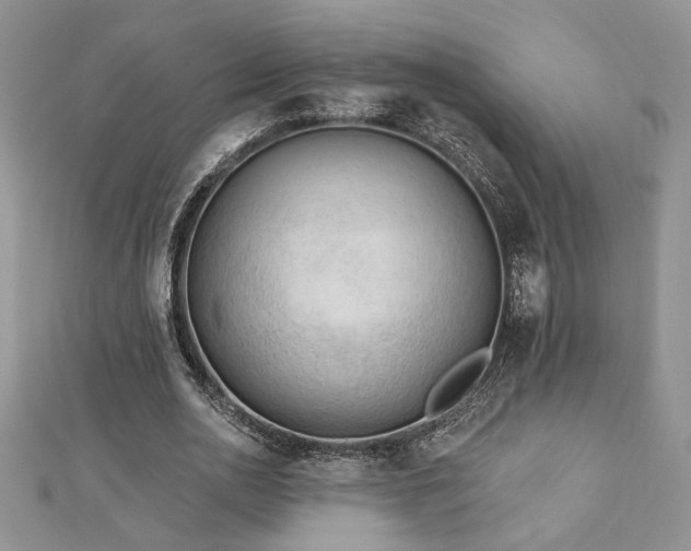 X0000113130726200909041146