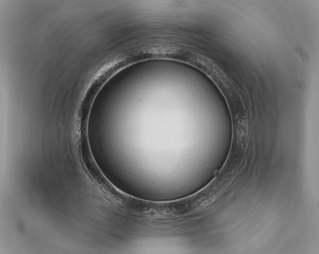 X0000113130727200909041146