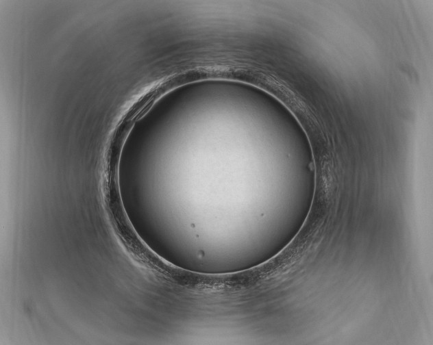 X0000113130728200909041146