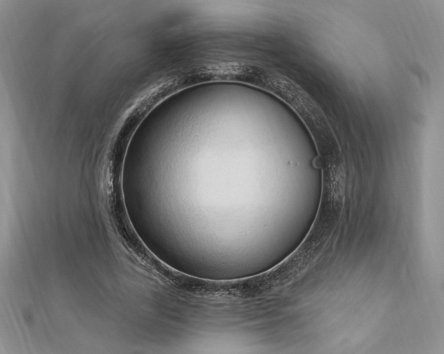 X0000113130731200909041147
