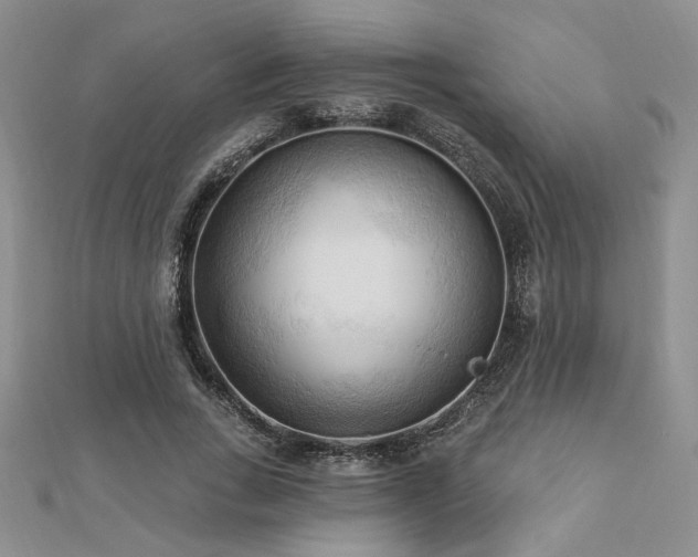 X0000113130735200909041147