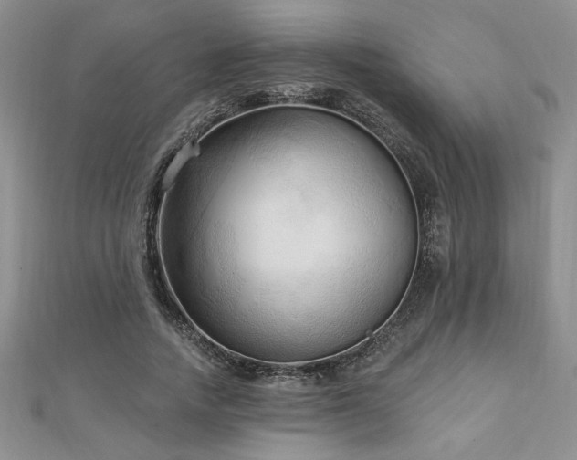 X0000113130738200909041147