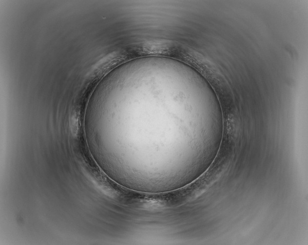 X0000113130741200909041147