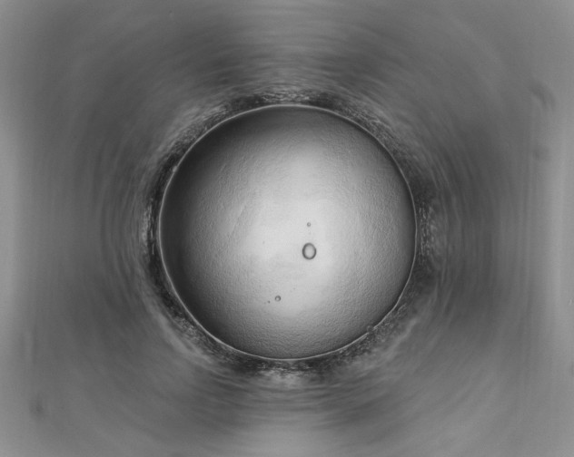 X0000113130742200909041147