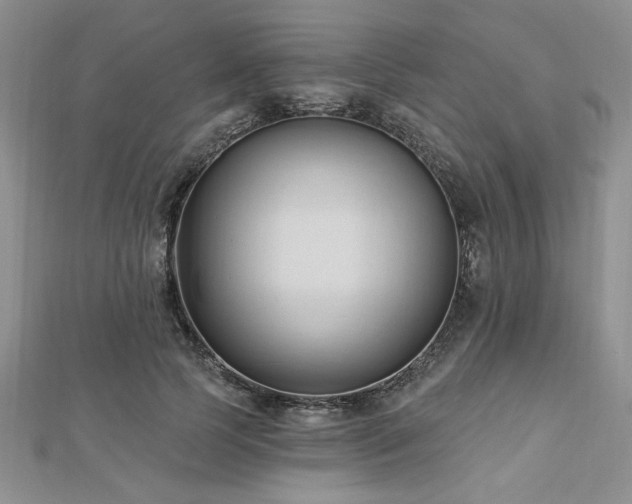 X0000113130745200909041147