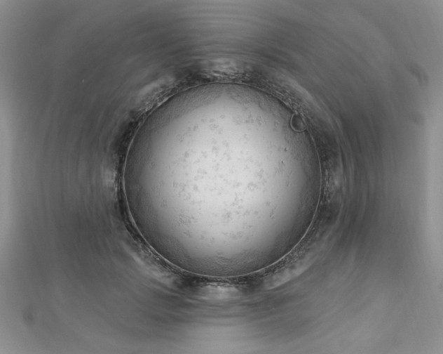 X0000113130749200909041147