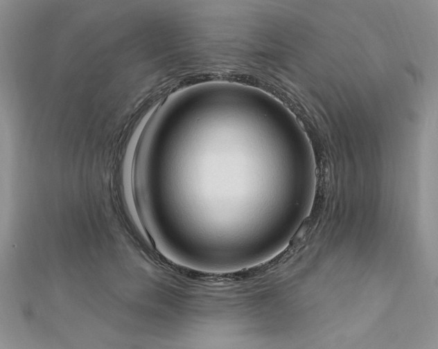 X0000113130750200909041147