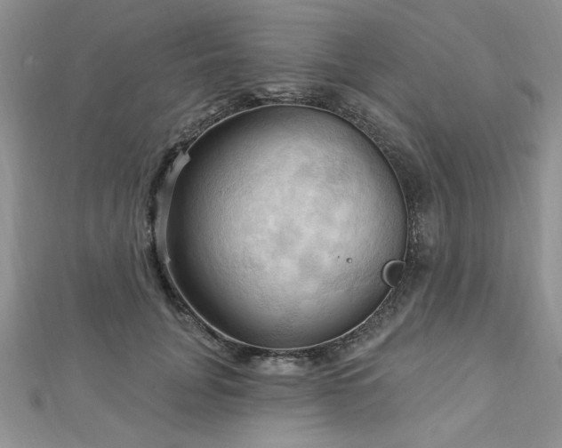 X0000113130751200909041147