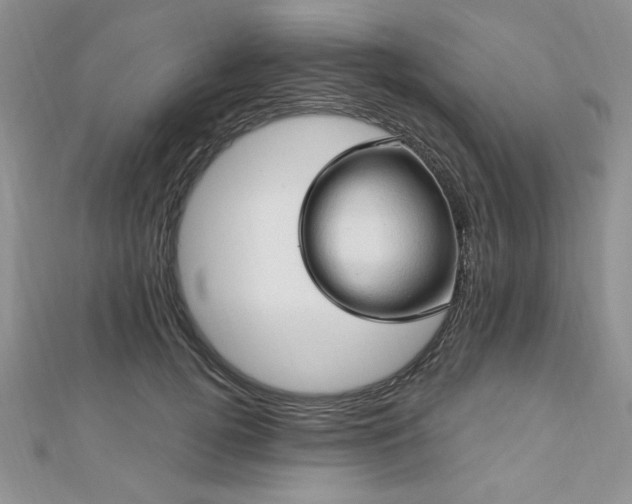 X0000113130752200909041147