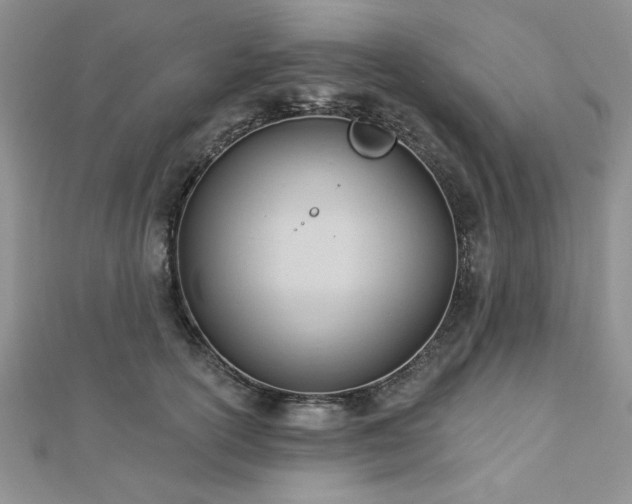 X0000113130754200909041147