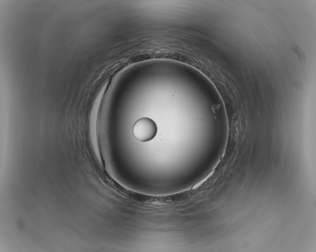 X0000113130756200909041147