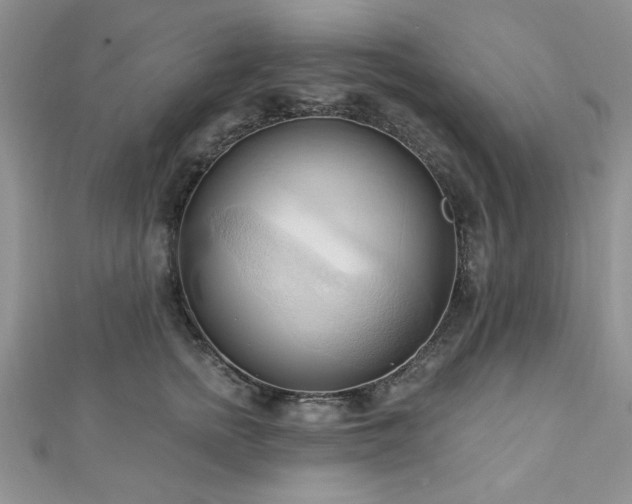 X0000113130758200909041147