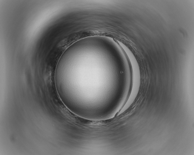 X0000113130762200909041147