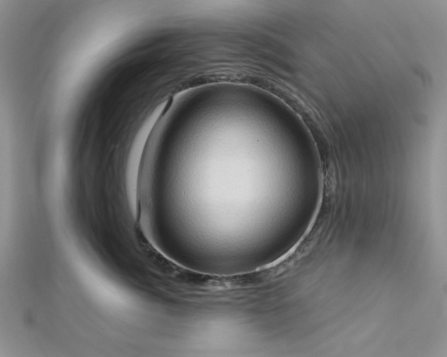 X0000113130764200909041147