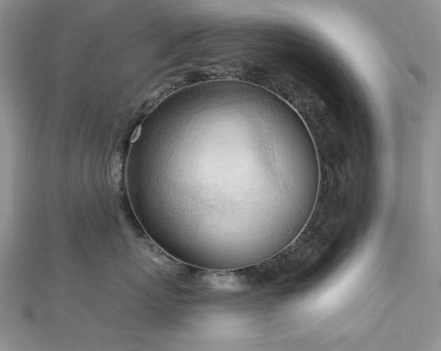 X0000113130767200909041147