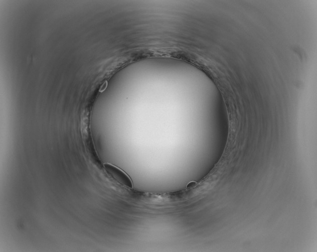 X0000113130768200909041147